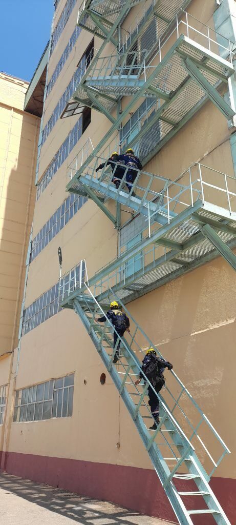 20220804_112534-461x1024